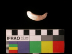 L_V23d3631 J6q261.2 U821 dM a-bone f154